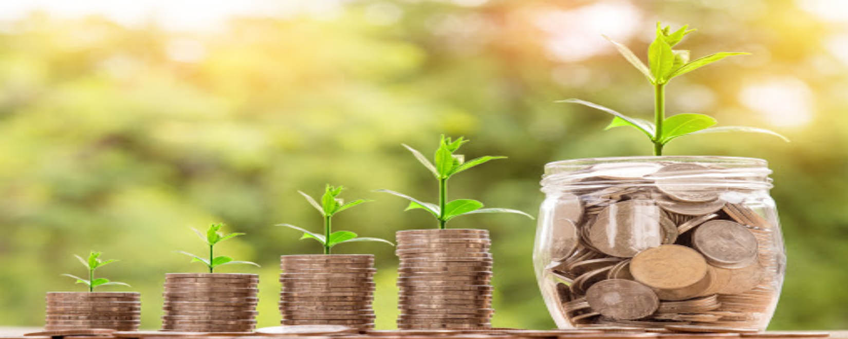 ROI Plan Software Development