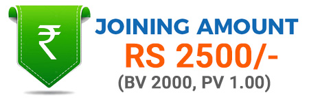 Joining 2500 (2000 BV, 1 PV)